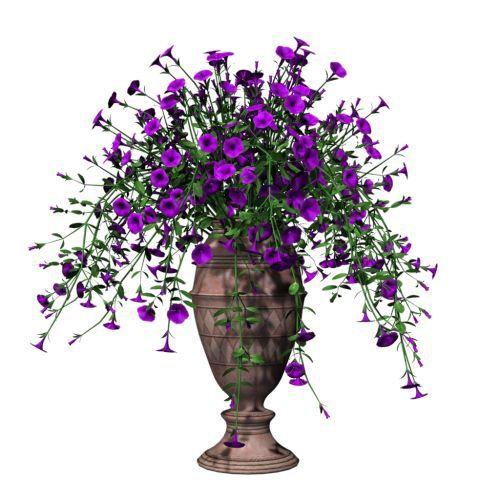 Фиолетовый цветок в горшке