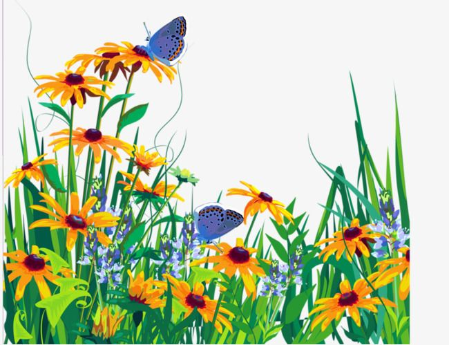 Луг с цветами и бабочками