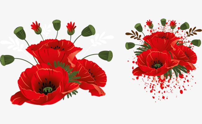 Красные цветы нарисованные