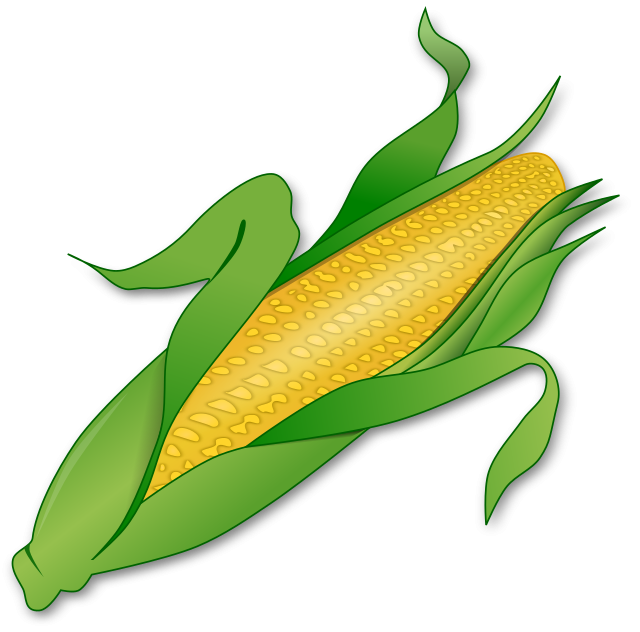 Кукуруза СВГ