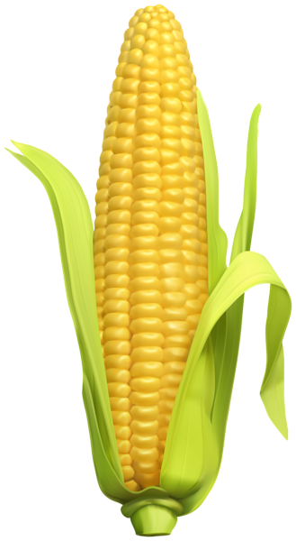 Дети кукурузы