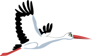 Летящий Аист нарисованный