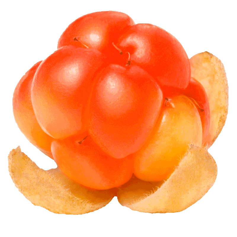 Плоды морошки