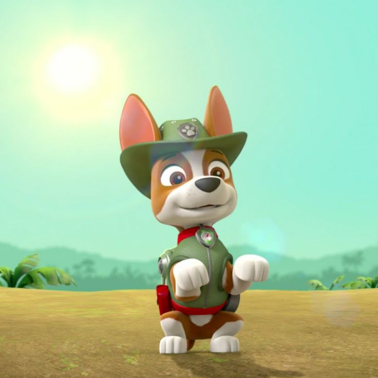 Щенки патруль трекер