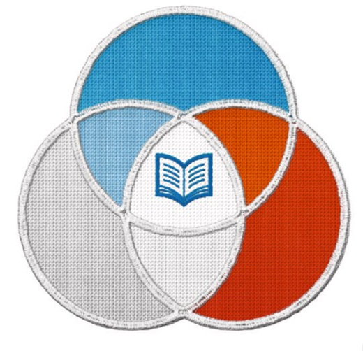 Символика РДШ