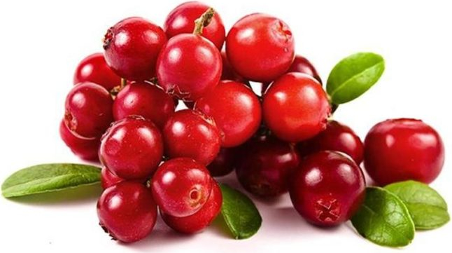 Клюква на белом фоне