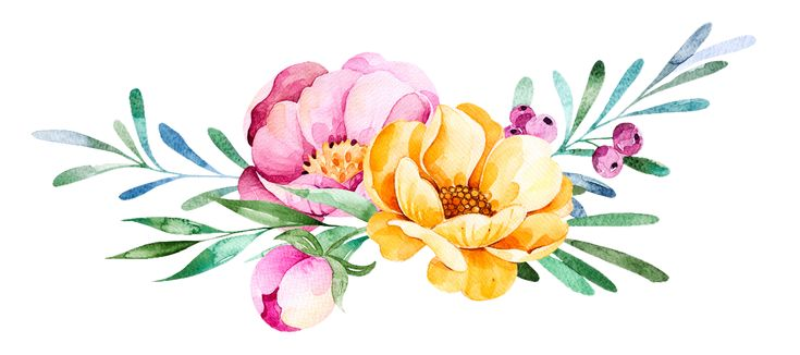 Цветы акварель на прозрачном фоне