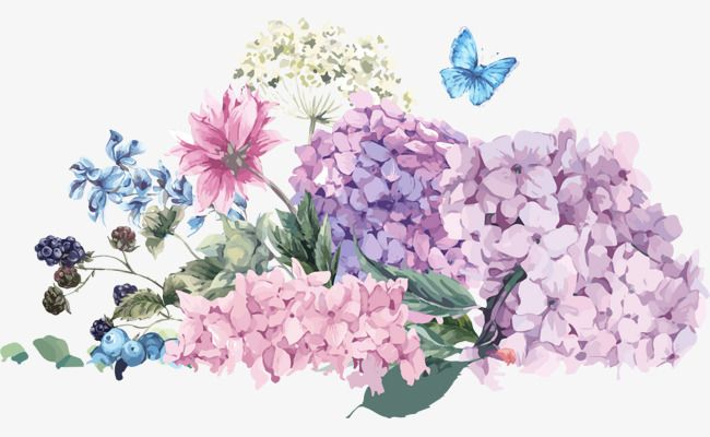 Гортензия Тиффани Пинк