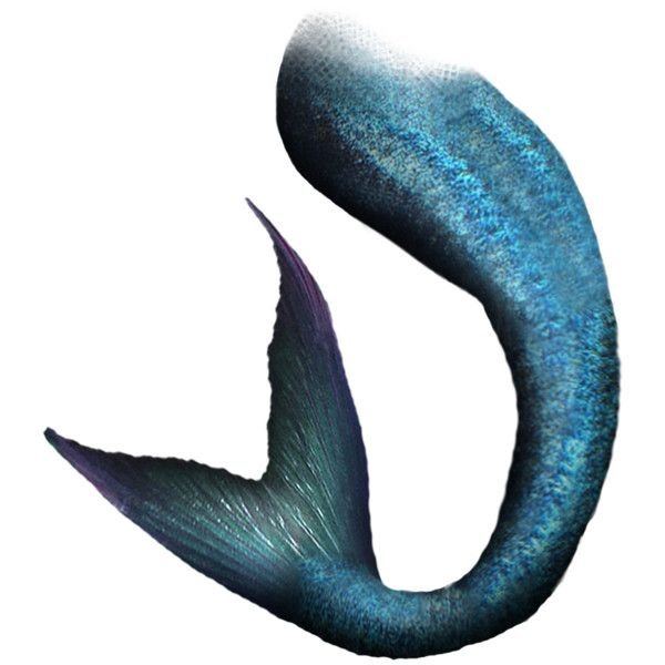 Хвост Русалочки