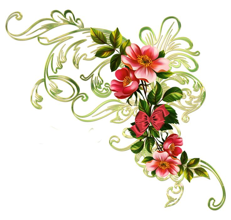 Цветочный орнамент на прозрачном фоне