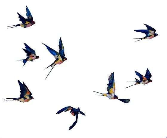 Птички летают на прозрачном фоне