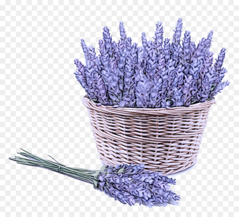 Лаванда в ведре