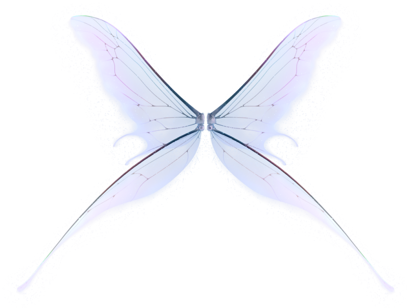 Крылья феи прозрачные