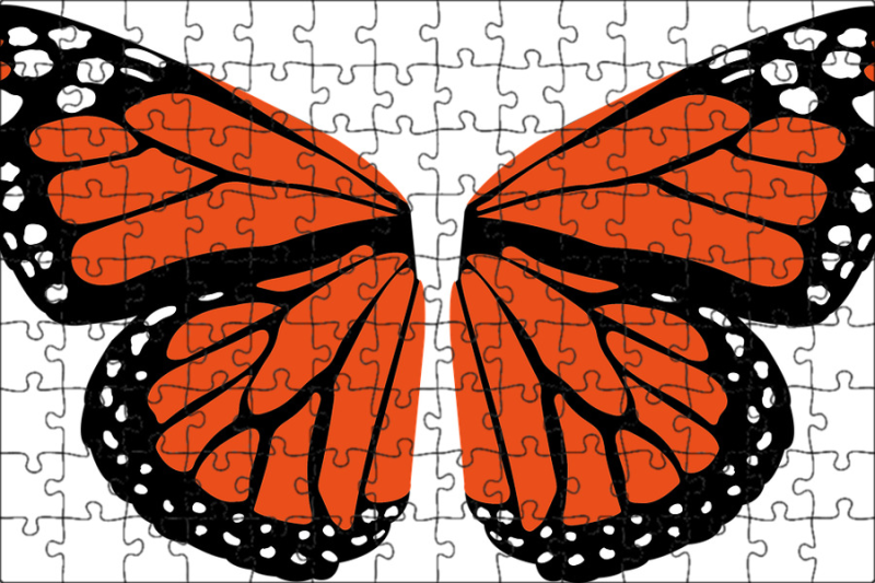 Крылья бабочки