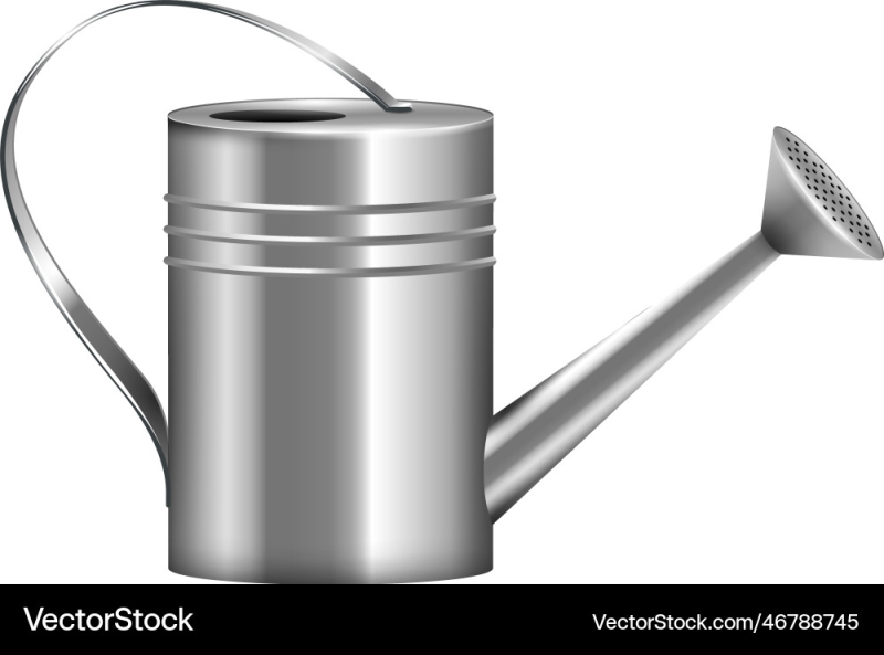 Лейка на прозрачном фоне