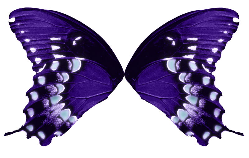 Сиреневые бабочки