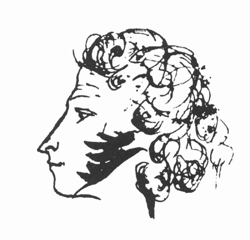 Александр Сергеевич Пушкин профиль