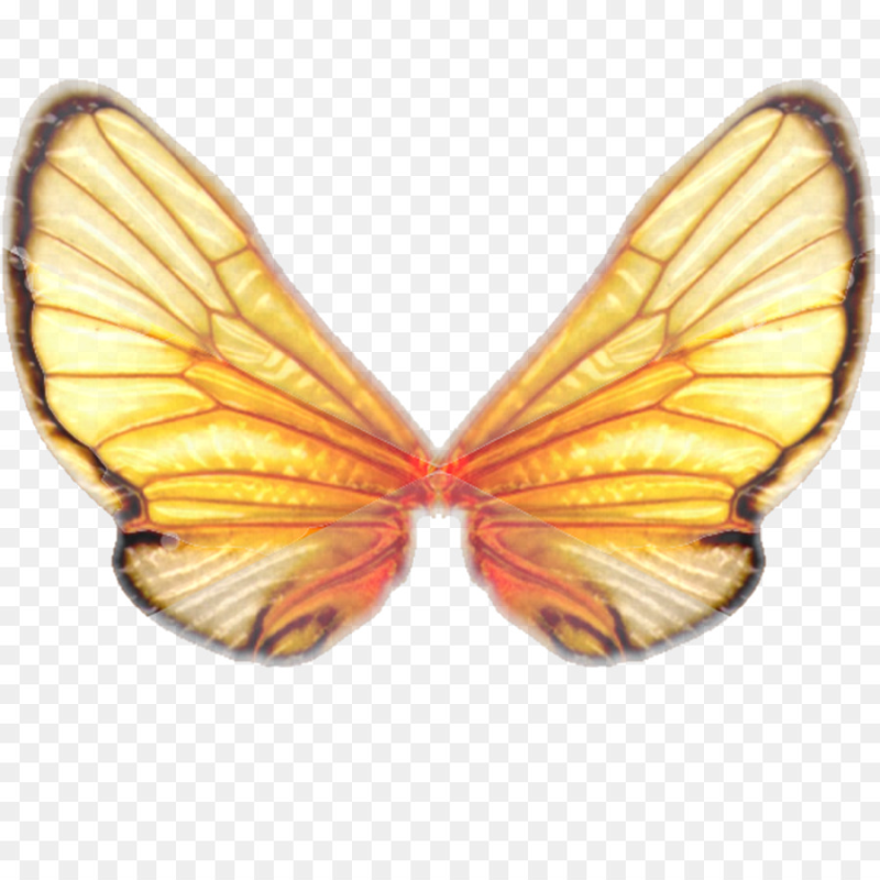 Крылышки бабочки