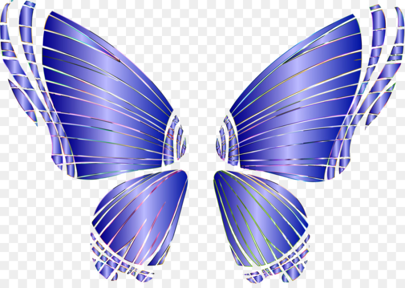 Крылья бабочки