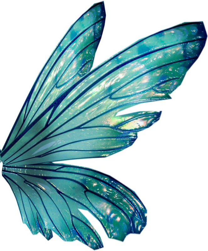 Крылья бабочки