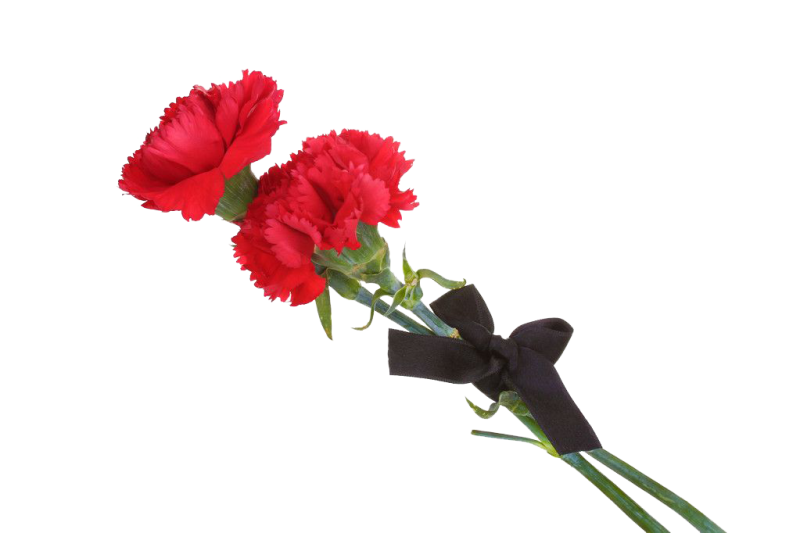 Похоронные гвоздики