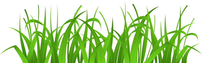 Травка на белом фоне