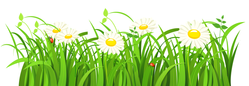 Трава вектор