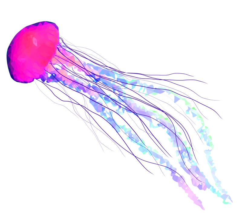 Медуза без фона