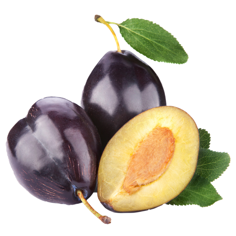 Слива на белом фоне