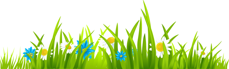 Травка на белом фоне