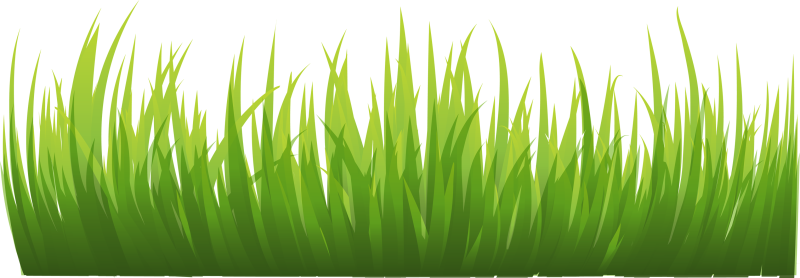 Трава мультяшная