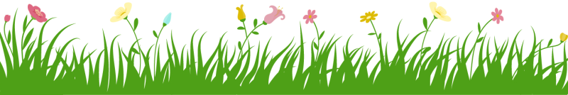 Трава с цветами на прозрачном фоне