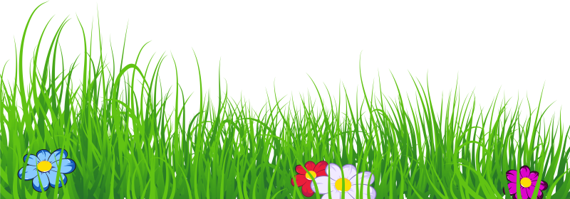 Травка с цветочками