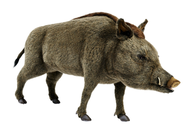 Кабан для детей
