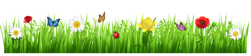 Трава с цветами на прозрачном фоне