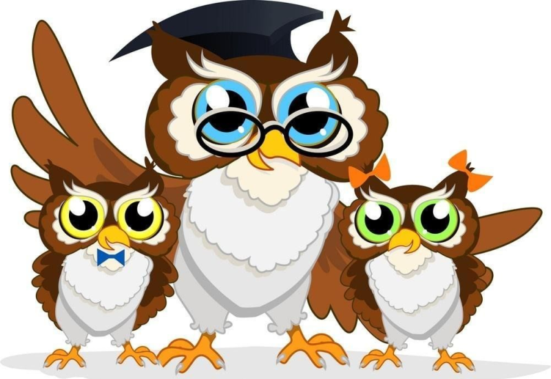 Мудрая Сова