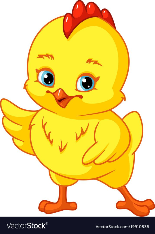 Цыпленок на прозрачном фоне