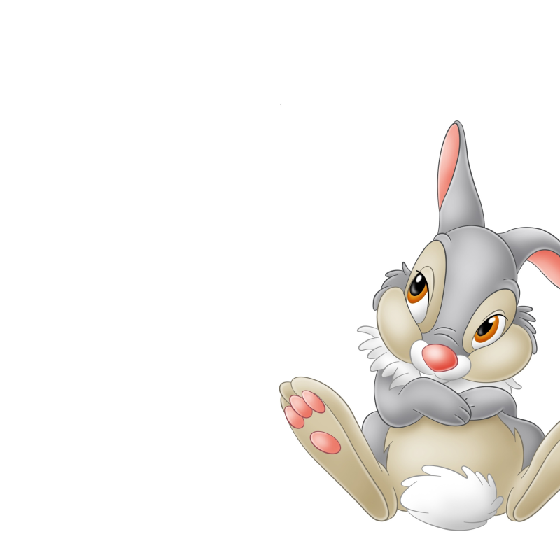 Заяц мультяшный