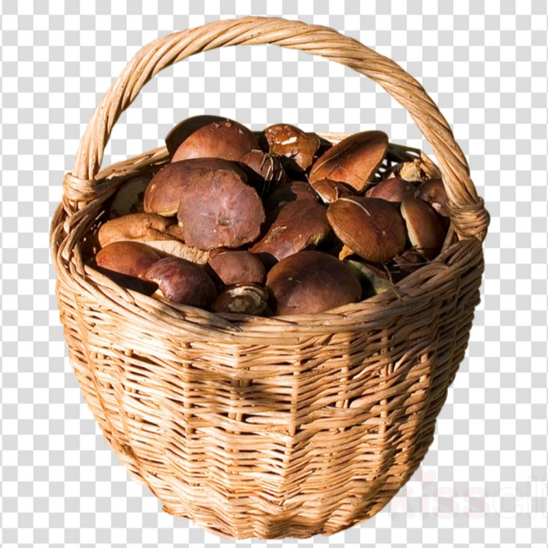 Корзина с грибами на белом фоне