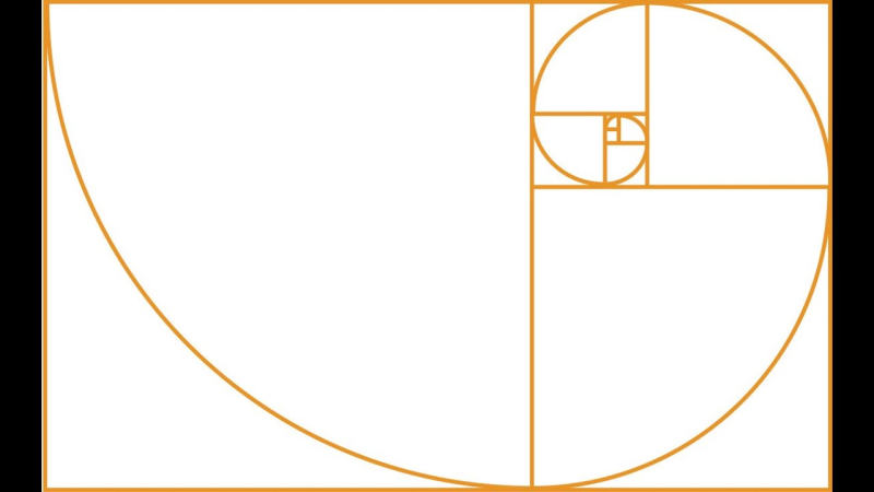 Золотая спираль спираль Фибоначчи