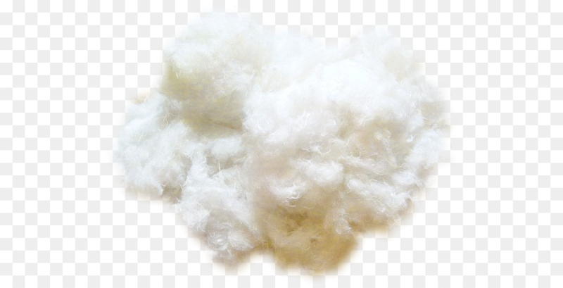 Вата на прозрачном фоне