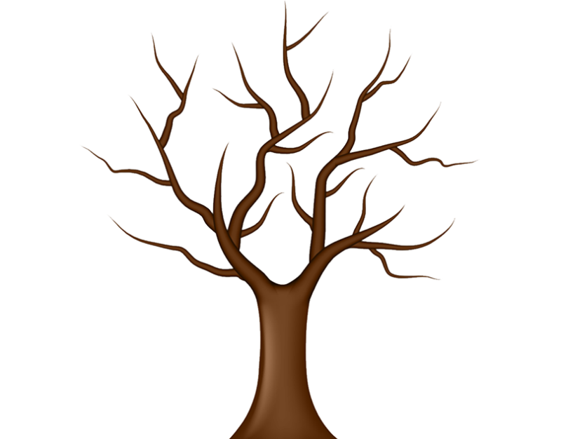 Силуэт дерева без листьев