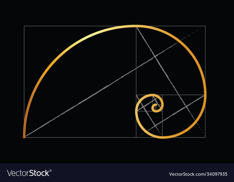 Золотая спираль золотое сечение
