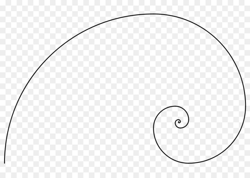 Золотая спираль золотое сечение