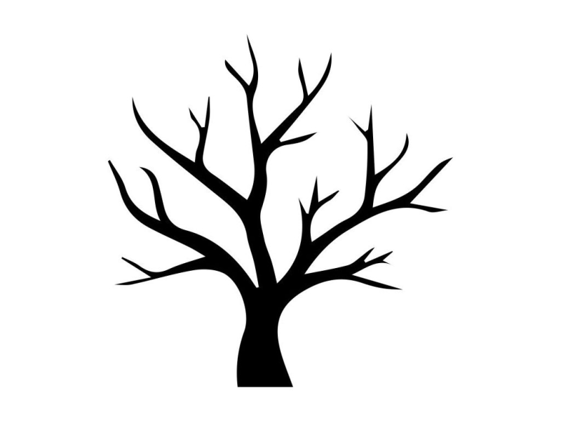 Силуэт дерева