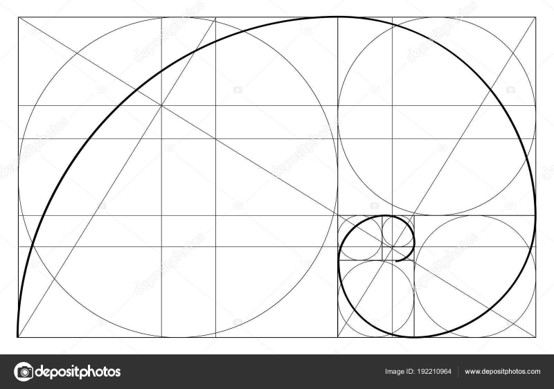 Золотая спираль спираль Фибоначчи