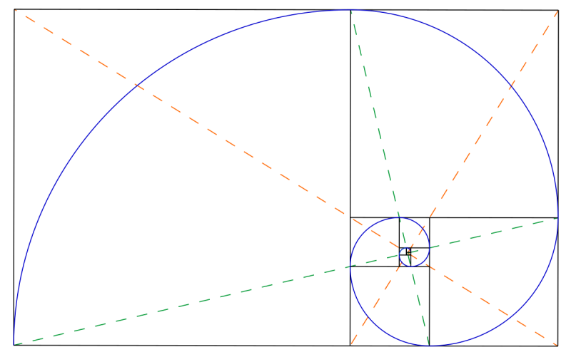 Спираль Фибоначчи золотое сечение