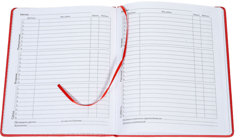 Дневник картинка