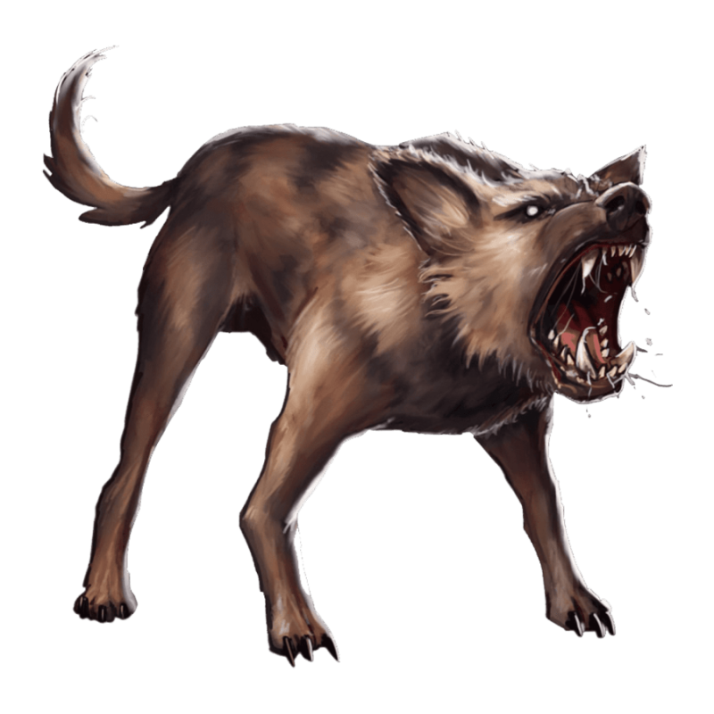 Собака на прозрачном фоне