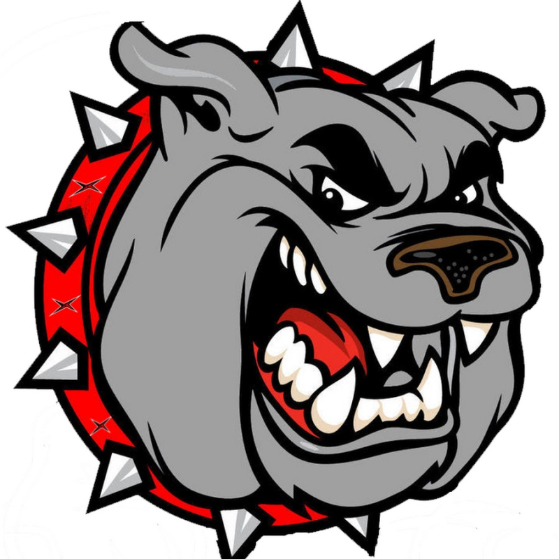 Злая морда собаки